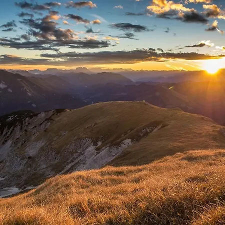 팜스테이 Biobauernhof Kleinummerstall *