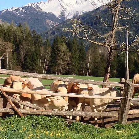 Farm stay Biobauernhof Kleinummerstall Mittersill