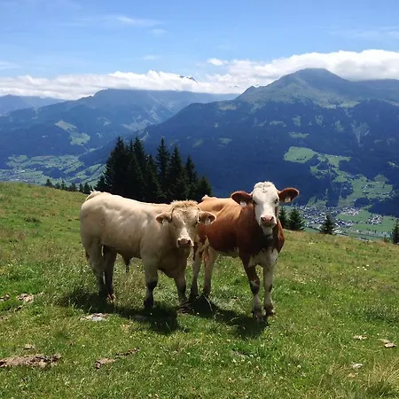 Alloggio per agriturismo Biobauernhof Kleinummerstall