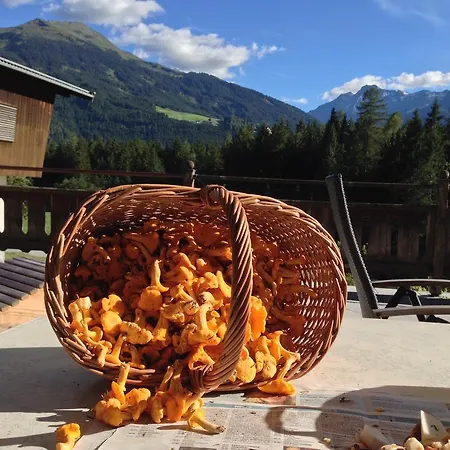 Farm stay Biobauernhof Kleinummerstall Mittersill