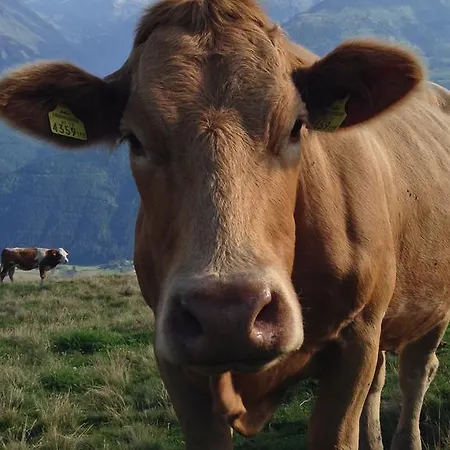 Biobauernhof Kleinummerstall * 미테르질