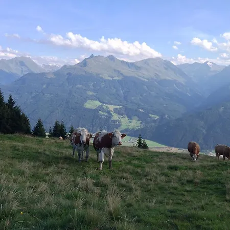 Biobauernhof Kleinummerstall * 미테르질